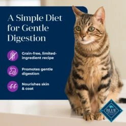 Blue Buffalo Basics Skin & Stomach Care Grain-Free Turkey & Potato Entree Indoor Adult Canned Cat Food -PurePet Bites Shop 51734 PT2. AC SS1800 V1646253722