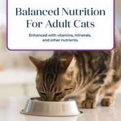 Blue Buffalo Basics Skin & Stomach Care Grain-Free Turkey & Potato Entree Indoor Adult Canned Cat Food -PurePet Bites Shop 51734 PT6. AC SS1800 V1646255801