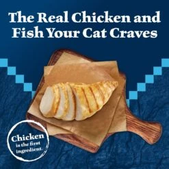Blue Buffalo Wilderness Wild Delights Chicken & Trout In Tasty Gravy Grain-Free Canned Cat Food -PurePet Bites Shop 51766 PT2. AC SS1800 V1646781384