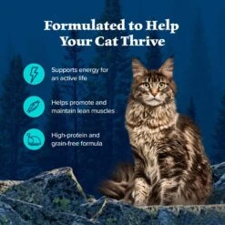 Blue Buffalo Wilderness Wild Delights Chicken & Trout In Tasty Gravy Grain-Free Canned Cat Food -PurePet Bites Shop 51766 PT3. AC SS1800 V1646779586
