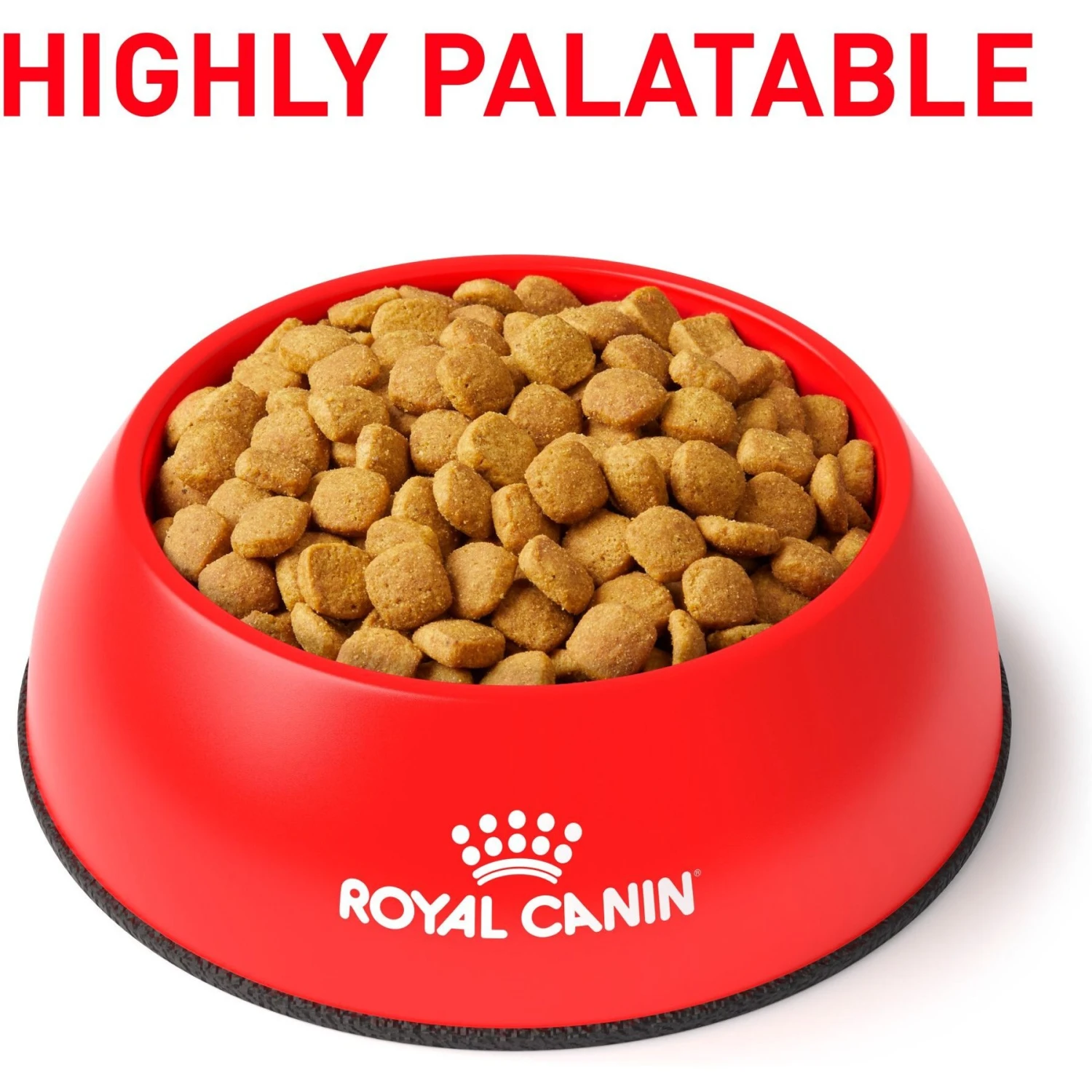 Royal Canin Veterinary Diet Adult Glycobalance Dry Cat Food 4 Royal Canin Veterinary Diet Adult Glycobalance Dry Cat Food - Image 2