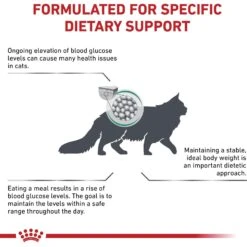 Royal Canin Veterinary Diet Adult Glycobalance Dry Cat Food 12 Royal Canin Veterinary Diet Adult Glycobalance Dry Cat Food -PurePet Bites Shop 52026 PT3. AC SS1800 V1589213769