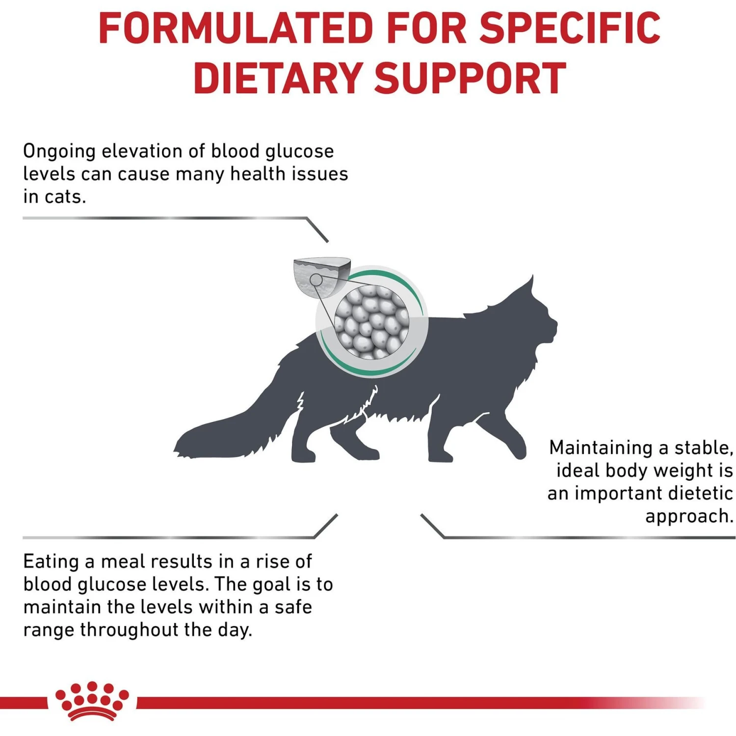 Royal Canin Veterinary Diet Adult Glycobalance Dry Cat Food 5 Royal Canin Veterinary Diet Adult Glycobalance Dry Cat Food - Image 3