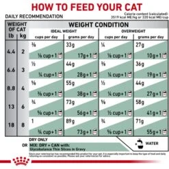 Royal Canin Veterinary Diet Adult Glycobalance Dry Cat Food 17 Royal Canin Veterinary Diet Adult Glycobalance Dry Cat Food -PurePet Bites Shop 52026 PT8. AC SS1800 V1590761169