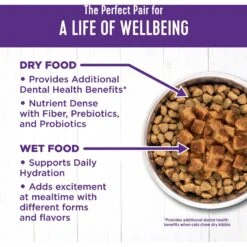 Wellness Morsels Chicken Entree Grain-Free Canned Cat Food -PurePet Bites Shop 52110 PT6. AC SS1800 V1695839117