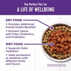 Wellness Complete Health Natural Minced Salmon Dinner Grain-Free Canned Cat Food -PurePet Bites Shop 52112 PT5. AC SS1800 V1636497800