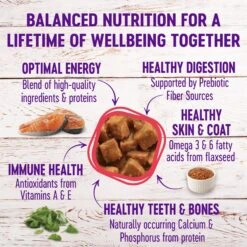 Wellness Cubed Salmon Dinner Morsels In Gravy Grain-Free Canned Cat Food -PurePet Bites Shop 52113 PT1. AC SS1800 V1666650838