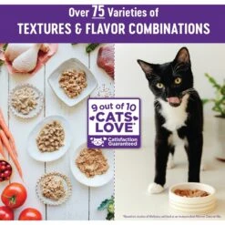 Wellness Minced Turkey & Salmon Entree Grain-Free Canned Cat Food -PurePet Bites Shop 52128 PT6. AC SS1800 V1695839117