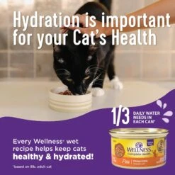 Wellness Sliced Salmon Entree Grain-Free Canned Cat Food -PurePet Bites Shop 52133 PT3. AC SS1800 V1636554085