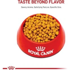 Royal Canin Feline Health Nutrition Indoor 7+ Adult Dry Cat Food -PurePet Bites Shop 52425 PT1. AC SS1800 V1697736198