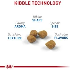 Royal Canin Feline Health Nutrition Indoor 7+ Adult Dry Cat Food -PurePet Bites Shop 52425 PT3. AC SS1800 V1697762330