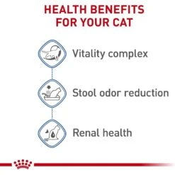 Royal Canin Feline Health Nutrition Indoor 7+ Adult Dry Cat Food -PurePet Bites Shop 52425 PT4. AC SS1800 V1697761878