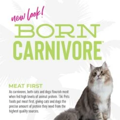 Tiki Cat Born Carnivore Grain-Free Trout & Menhaden Fish Meal Recipe Dry Cat Food -PurePet Bites Shop 526054 PT5. AC SS1800 V1683313125