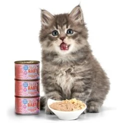 Tiki Cat Baby Grain-Free Chicken, Salmon & Chicken Liver Recipe Shreds & Mousse Wet Cat Food, 1.9-oz Can, Case Of 3 -PurePet Bites Shop 526110 PT6. AC SS1800 V1651671684