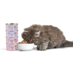 Tiki Cat Baby Grain-Free Chicken & Salmon Recipe Wet Cat Food, 2.4-oz Can, Case Of 12 -PurePet Bites Shop 526126 PT6. AC SS1800 V1657658483