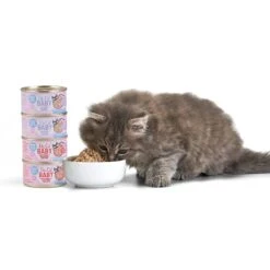Tiki Cat Baby Grain-Free Chicken & Egg Recipe Wet Cat Food, 2.4-oz Can, Case Of 12 -PurePet Bites Shop 526142 PT6. AC SS1800 V1651671693