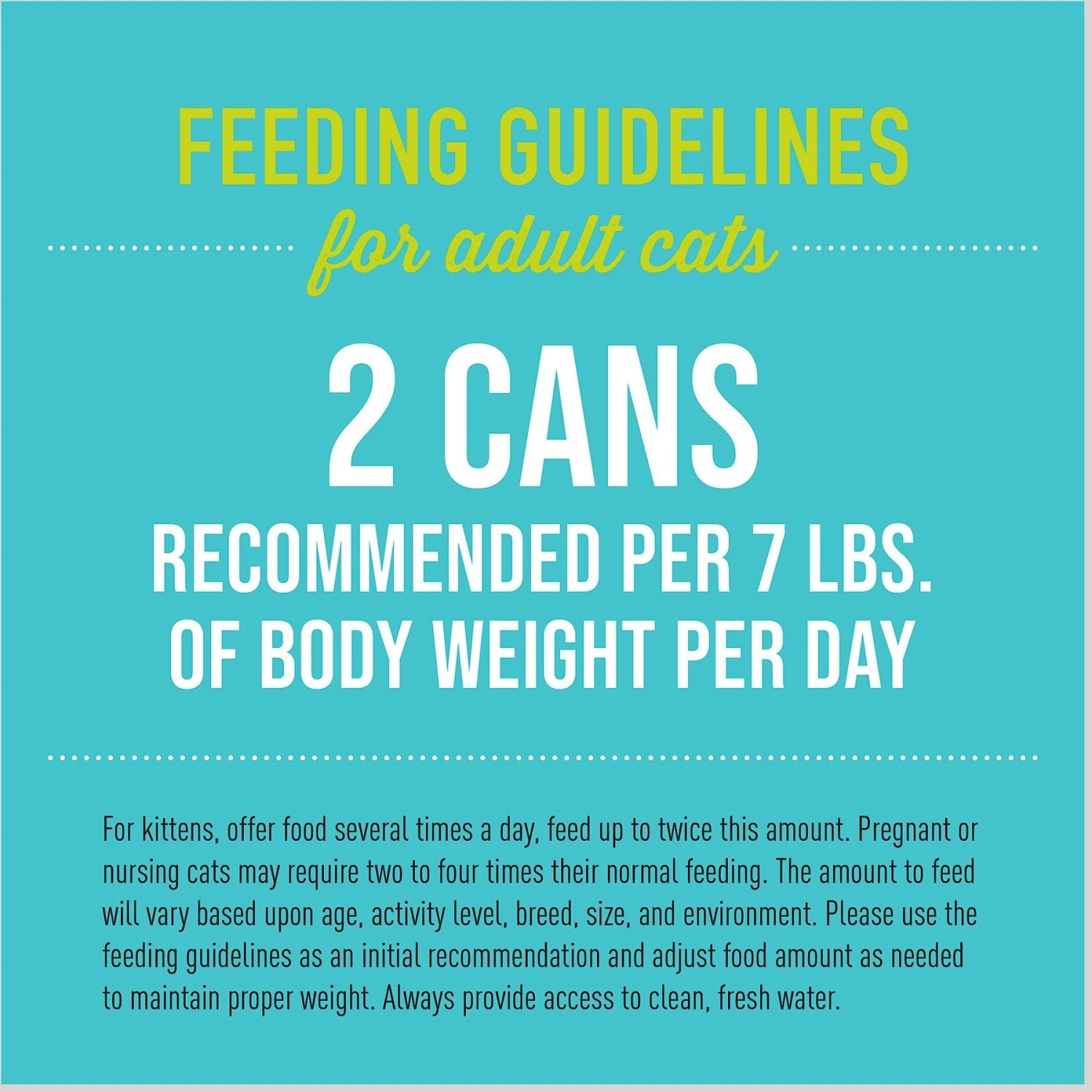 Tiki Cat Luau Succulent Chicken Pate Wet Cat Food 8 Tiki Cat Luau Succulent Chicken Pate Wet Cat Food - Image 6