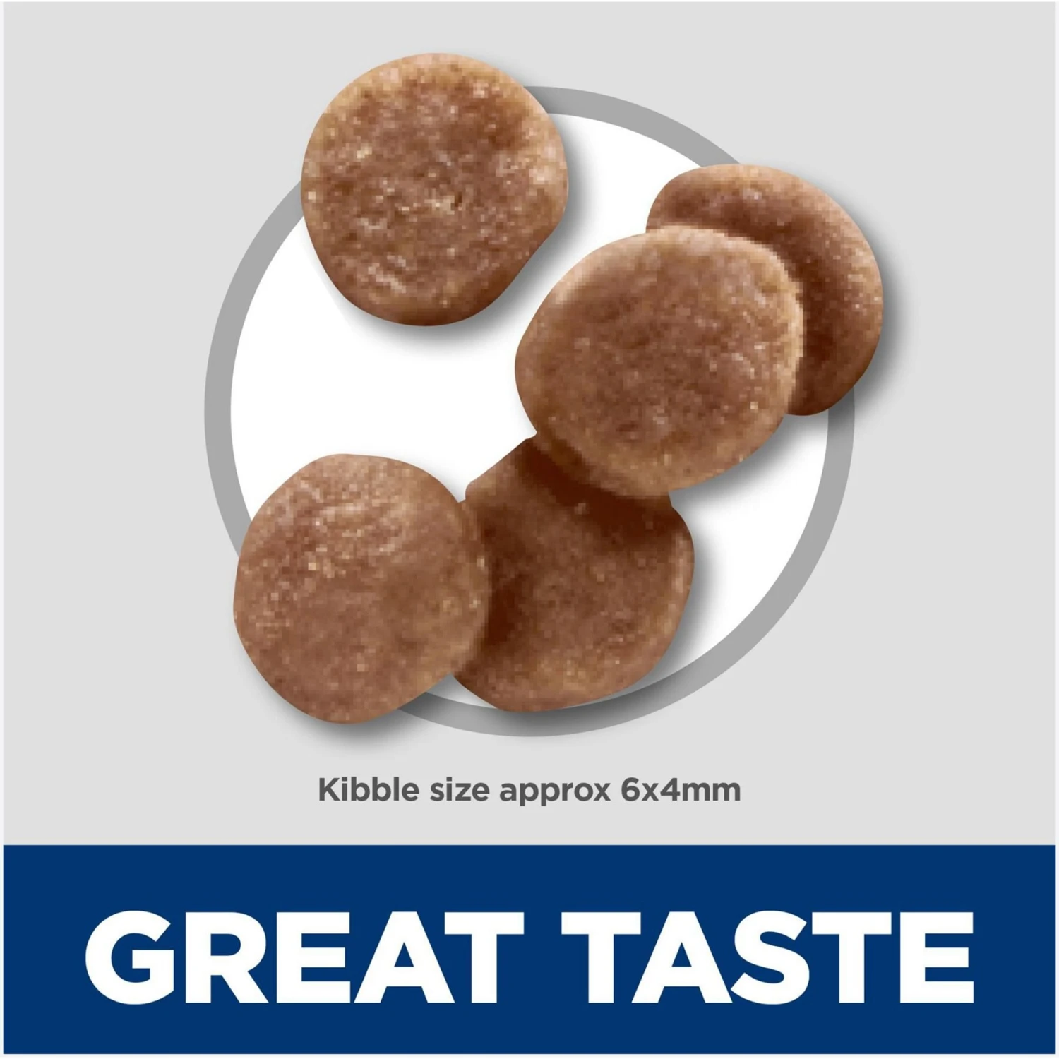 Hill's Science Diet Kitten Healthy Development Chicken Recipe Dry Cat Food 5 Hill's Science Diet Kitten Healthy Development Chicken Recipe Dry Cat Food - Image 3