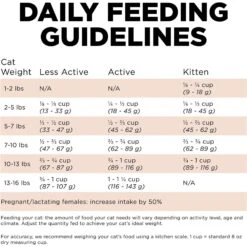 Go! Solutions Digestive + Gut Health Salmon Recipe With Ancient Grains For Cats -PurePet Bites Shop 539574 PT5. AC SS1800 V1662062540