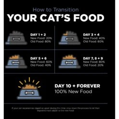 Go! Solutions Weight Management + Joint Care Grain-Free Chicken Recipe For Cats 15 Go! Solutions Weight Management + Joint Care Grain-Free Chicken Recipe For Cats -PurePet Bites Shop 539630 PT6. AC SS1800 V1653581823