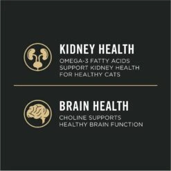 Purina Pro Plan Vital Systems 4-in-1 Salmon Pate Wet Cat Food, 3-oz Can, Case Of 24 -PurePet Bites Shop 542038 PT5. AC SS1800 V1652975784