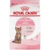 Royal Canin Feline Health Nutrition Kitten Spayed/Neutered Dry Cat Food -PurePet Bites Shop 54330 MAIN. AC SS1800 V1697733868