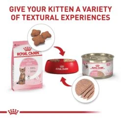 Royal Canin Feline Health Nutrition Kitten Spayed/Neutered Dry Cat Food -PurePet Bites Shop 54330 PT5. AC SS1800 V1697754442