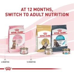 Royal Canin Feline Health Nutrition Kitten Spayed/Neutered Dry Cat Food -PurePet Bites Shop 54330 PT6. AC SS1800 V1697739432