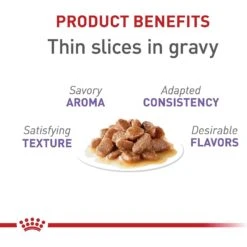 Royal Canin Feline Health Nutrition Spayed/Neutered Thin Slices In Gravy Canned Cat Food -PurePet Bites Shop 54338 PT2. AC SS1800 V1697760163