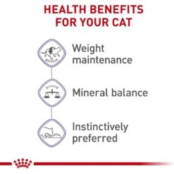 Royal Canin Feline Health Nutrition Spayed/Neutered Thin Slices In Gravy Canned Cat Food -PurePet Bites Shop 54338 PT3. AC SS1800 V1697757373