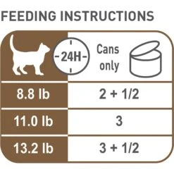 Royal Canin Aging 12+ Thin Slices In Gravy Canned Cat Food -PurePet Bites Shop 54340 PT2. AC SS1800 V1698094654