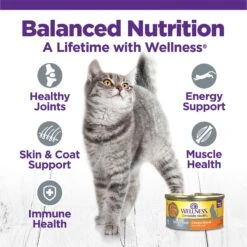 Wellness Complete Health Age Advantage Grain-Free Variety Pack Wet Cat Food, 3-oz Can, Case Of 24 14 Wellness Complete Health Age Advantage Grain-Free Variety Pack Wet Cat Food, 3-oz Can, Case Of 24 -PurePet Bites Shop 548950 PT3. AC SS1800 V1657659362