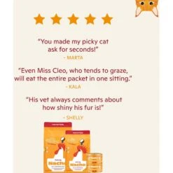 Made By Nacho Chicken Recipe Grain-Free Pate Wet Kitten Food, 3-oz Can, Case Of 24 -PurePet Bites Shop 554822 PT5. AC SS1800 V1698959804