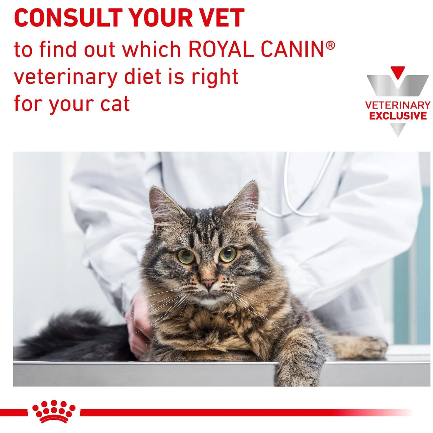 Royal Canin Veterinary Diet Adult Dental Dry Cat Food 10 Royal Canin Veterinary Diet Adult Dental Dry Cat Food - Image 8