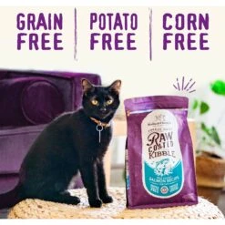 Stella & Chewy's Chicken Flavored Raw Coated Cage Free Dry Cat Food -PurePet Bites Shop 576062 PT5. AC SS1800 V1678908311