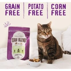 Stella & Chewy's Poultry Flavored Raw Blend Cage Free Recipe Dry Cat Food 13 Stella & Chewy's Poultry Flavored Raw Blend Cage Free Recipe Dry Cat Food -PurePet Bites Shop 576126 PT3. AC SS1800 V1657660401