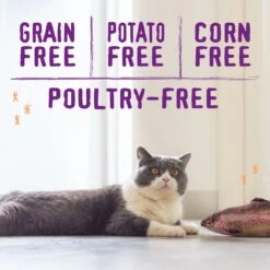 Stella & Chewy's Raw Blend Wild Caught Recipe Dry Cat Food 9 Stella & Chewy's Raw Blend Wild Caught Recipe Dry Cat Food -PurePet Bites Shop 576174 PT3. AC SS1800 V1657660401