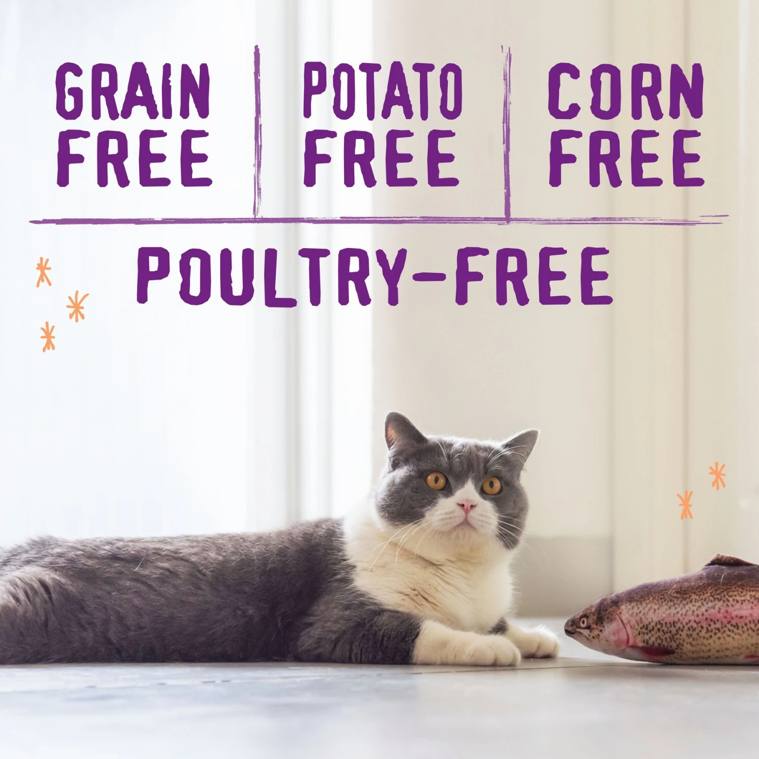 Stella & Chewy's Raw Blend Wild Caught Recipe Dry Cat Food 5 Stella & Chewy's Raw Blend Wild Caught Recipe Dry Cat Food - Image 3