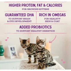 Stella & Chewy's Chicken Flavored Raw Coated Cage-Free Kitten Dry Cat Food -PurePet Bites Shop 576198 PT5. AC SS1800 V1657660463
