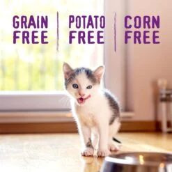 Stella & Chewy's Chicken Flavored Raw Coated Cage-Free Kitten Dry Cat Food -PurePet Bites Shop 576198 PT6. AC SS1800 V1657660463