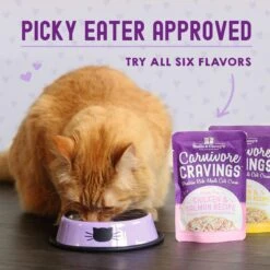 Stella & Chewy's Carnivore Cravings Chicken & Chicken Liver Flavored Shredded Wet Cat Food -PurePet Bites Shop 576230 PT8. AC SS1800 V1657660465