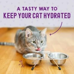 Stella & Chewy's Carnivore Cravings Chicken & Salmon Flavored Shredded Wet Cat Food -PurePet Bites Shop 576246 PT7. AC SS1800 V1657660465