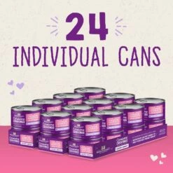 Stella & Chewy's Savory Shreds Chicken & Salmon Flavored Shredded Wet Cat Food -PurePet Bites Shop 576510 PT6. AC SS1800 V1657660470