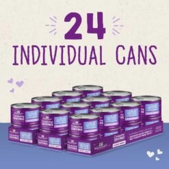 Stella & Chewy's Savory Shreds Chicken & Turkey Flavored Shredded Wet Cat Food -PurePet Bites Shop 576534 PT6. AC SS1800 V1657660471