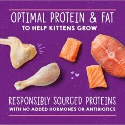 Stella & Chewy's Chicken & Salmon Flavored Pate Kitten Wet Cat Food -PurePet Bites Shop 576606 PT3. AC SS1800 V1657660473