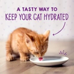 Stella & Chewy's Chicken & Salmon Flavored Pate Kitten Wet Cat Food -PurePet Bites Shop 576606 PT8. AC SS1800 V1657660473