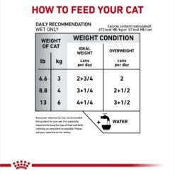 Royal Canin Veterinary Diet Adult Glycobalance Thin Slices In Gravy Canned Cat Food -PurePet Bites Shop 58701 PT5. AC SS1800 V1694465216
