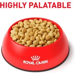 Royal Canin Veterinary Diet Adult Satiety Support Weight Management Dry Cat Food 13 Royal Canin Veterinary Diet Adult Satiety Support Weight Management Dry Cat Food -PurePet Bites Shop 58752 PT2. AC SS1800 V1676556700