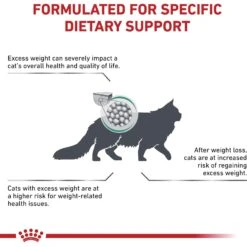 Royal Canin Veterinary Diet Adult Satiety Support Weight Management Dry Cat Food 14 Royal Canin Veterinary Diet Adult Satiety Support Weight Management Dry Cat Food -PurePet Bites Shop 58752 PT3. AC SS1800 V1676556635