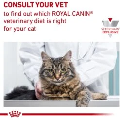 Royal Canin Veterinary Diet Adult Satiety Support Weight Management Dry Cat Food 19 Royal Canin Veterinary Diet Adult Satiety Support Weight Management Dry Cat Food -PurePet Bites Shop 58752 PT8. AC SS1800 V1676556691